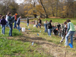 Student planting trees